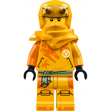 Конструктор LEGO Ninjago Молодой дракон Рию (71810)