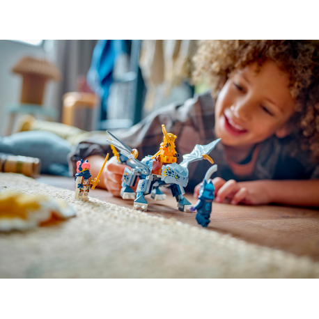 Конструктор LEGO Ninjago Молодой дракон Рию (71810)