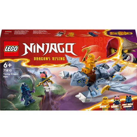 Конструктор LEGO Ninjago Молодой дракон Рию (71810)