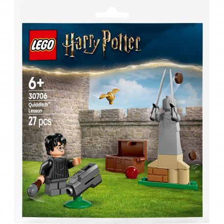 Конструктор LEGO Harry Potter Урок с Квидича (30706)