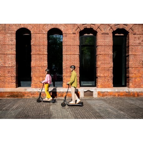 Электросамокат Segway-Ninebot E2 E II (AA.05.14.01.0004)