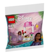 Конструктор LEGO Disney Princess Поздравительный стенд Аши (30661)