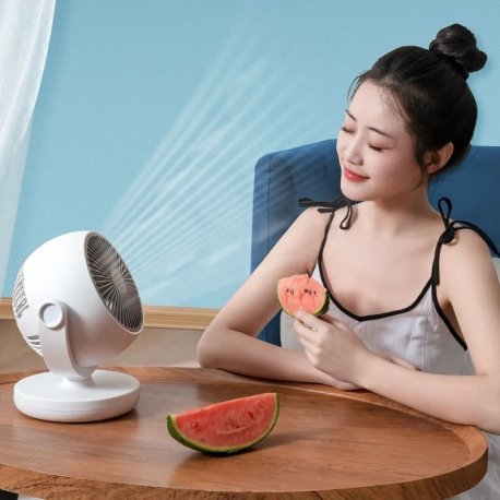 Портативний вентилятор Xiaomi Xiaoda Desktop Circulation Fan Standard Version (XD-ZMXHS01)