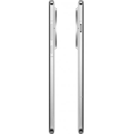 OnePlus 13 16/512GB Arctic Dawn (EU)