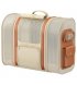 Рюкзак-переноска для животных Mova Pet Backpack PB10 Pro