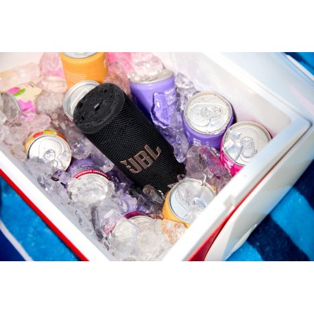 Портативна акустика JBL Grip Squad (JBLGRIPSQUAD)