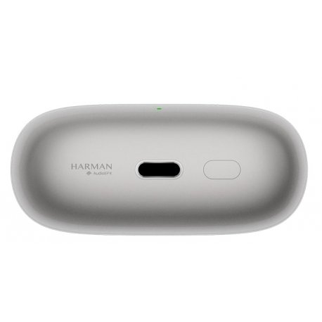 Бездротові навушники Xiaomi Buds 5 Pro Titanium (BHR9640GL)