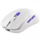 Беспроводная мышь игровая Proove Gaming Everon White (WMEV00022002) Беспроводная мышь игровая Proove Gaming Everon White (WMEV00022002)