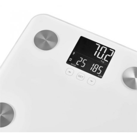 Ваги Sencor SBS6025WH White (SBS6025WH)