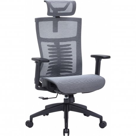 Офісне крісло OfficePro Balance OC620 Dark Gray (OC620-B-DG-DG)