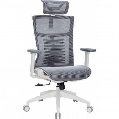 Офісне крісло OfficePro Balance OC620 Dark Gray (OC620-G-DG-DG)