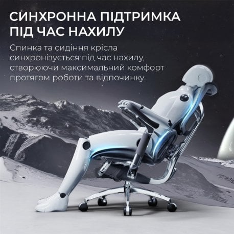 Офісне крісло Sihoo Doro S300 Mesh Dark Grey (S300-M201)