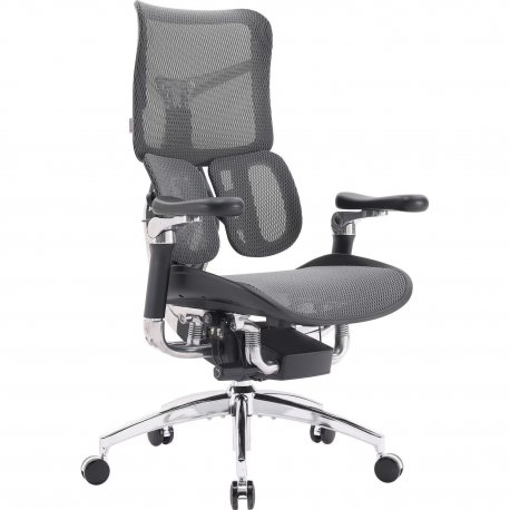 Офисное кресло Sihoo Doro S300 Mesh Dark Grey (S300-M201)