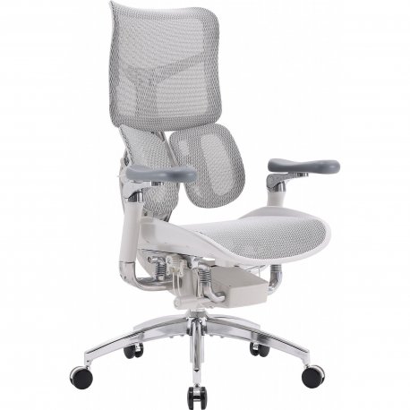 Офисное кресло Sihoo Doro S300 Mesh Light Grey (S300-M202)