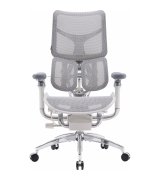Офисное кресло Sihoo Doro S300 Mesh Light Grey (S300-M202)
