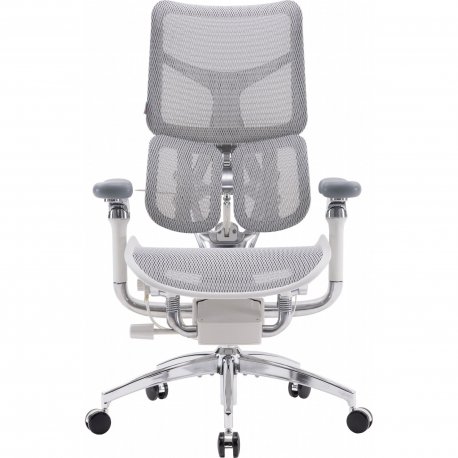 Офисное кресло Sihoo Doro S300 Mesh Light Grey (S300-M202)