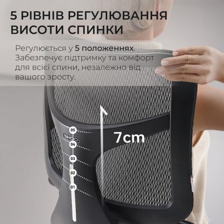 Офісне крісло Sihoo Doro S100 Mesh Black (S100-M301)