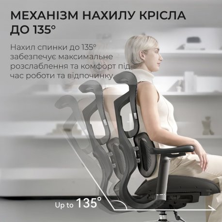 Офісне крісло Sihoo Doro S100 Mesh Black (S100-M301)