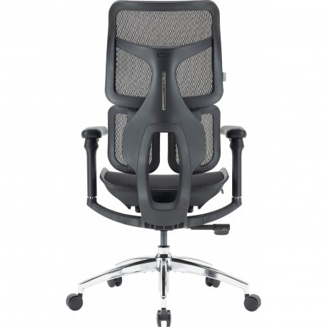 Офисное кресло Sihoo Doro S100 Mesh Black (S100-M301)
