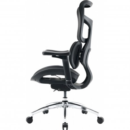 Офисное кресло Sihoo Doro S100 Mesh Black (S100-M301)