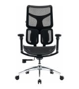 Офисное кресло Sihoo Doro S100 Mesh Black (S100-M301)