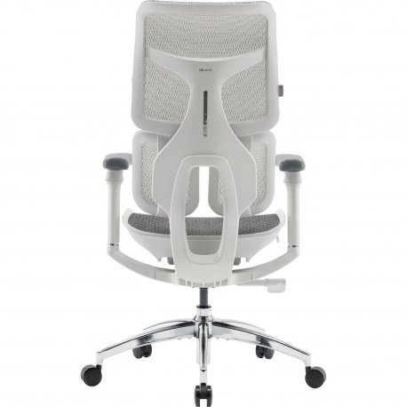 Офісне крісло Sihoo Doro S100 Mesh White (S100-M302)