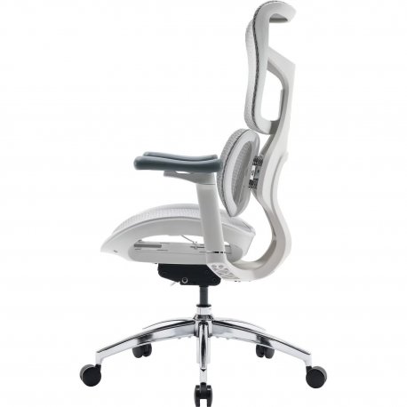 Офисное кресло Sihoo Doro S100 Mesh White (S100-M302)