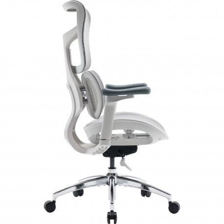 Офісне крісло Sihoo Doro S100 Mesh White (S100-M302)