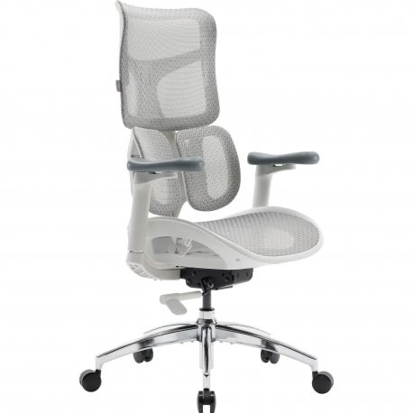 Офісне крісло Sihoo Doro S100 Mesh White (S100-M302)