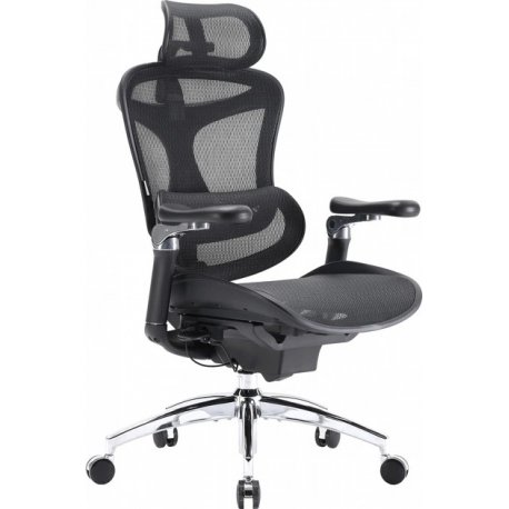 Офисное кресло Sihoo Doro C300 Pro Mesh Black (DORO-C300-PRO-M101)