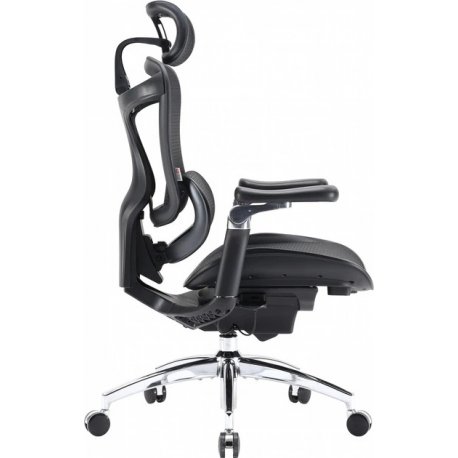 Офісне крісло Sihoo Doro C300 Pro Mesh Black (DORO-C300-PRO-M101)