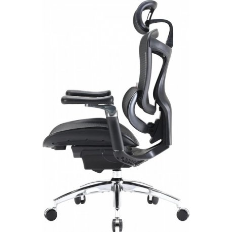 Офисное кресло Sihoo Doro C300 Pro Mesh Black (DORO-C300-PRO-M101)