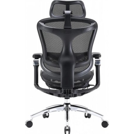 Офисное кресло Sihoo Doro C300 Pro Mesh Black (DORO-C300-PRO-M101)