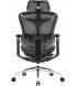 Офисное кресло Sihoo Doro C300 Pro Mesh Black (DORO-C300-PRO-M101)