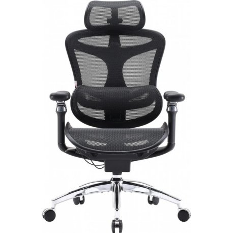 Офісне крісло Sihoo Doro C300 Pro Mesh Black (DORO-C300-PRO-M101)