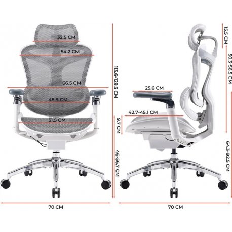 Офісне крісло Sihoo Doro C300 Pro Mesh White (DORO-C300-PRO-M102)