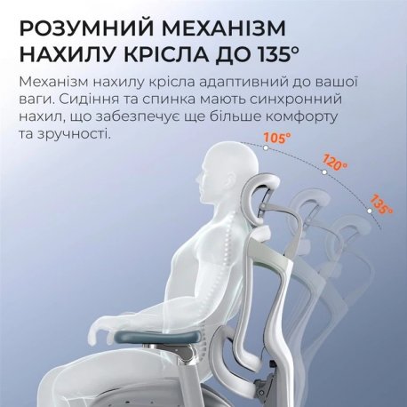 Офісне крісло Sihoo Doro C300 Pro Mesh White (DORO-C300-PRO-M102)
