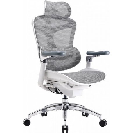 Офісне крісло Sihoo Doro C300 Pro Mesh White (DORO-C300-PRO-M102)