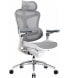 Офісне крісло Sihoo Doro C300 Pro Mesh White (DORO-C300-PRO-M102)