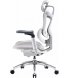 Офісне крісло Sihoo Doro C300 Pro Mesh White (DORO-C300-PRO-M102)