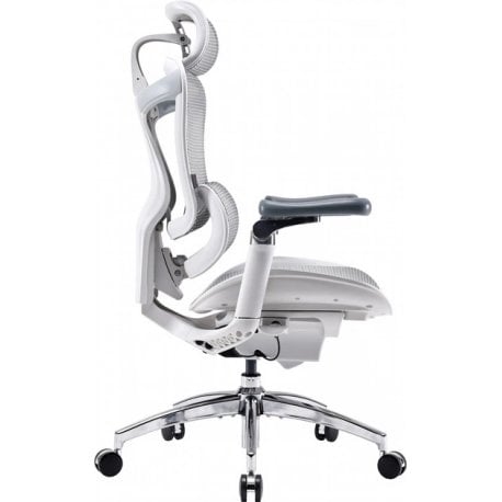 Офісне крісло Sihoo Doro C300 Pro Mesh White (DORO-C300-PRO-M102)