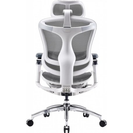 Офісне крісло Sihoo Doro C300 Pro Mesh White (DORO-C300-PRO-M102)