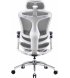 Офісне крісло Sihoo Doro C300 Pro Mesh White (DORO-C300-PRO-M102)