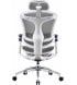 Офисное кресло Sihoo Doro C300 Pro Mesh White (DORO-C300-PRO-M102)