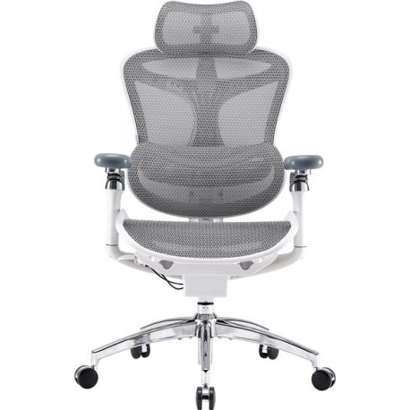 Офисное кресло Sihoo Doro C300 Pro Mesh White (DORO-C300-PRO-M102)