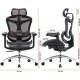 Офісне крісло Sihoo Doro C300L Mesh Black (DORO-C300L-A3-101)