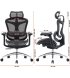 Офісне крісло Sihoo Doro C300L Mesh Black (DORO-C300L-A3-101)