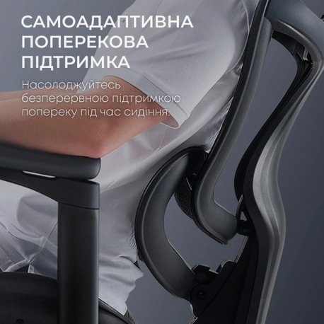 Офисное кресло Sihoo Doro C300L Mesh Black (DORO-C300L-A3-101)