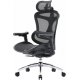 Офісне крісло Sihoo Doro C300L Mesh Black (DORO-C300L-A3-101)