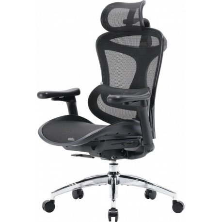 Офисное кресло Sihoo Doro C300L Mesh Black (DORO-C300L-A3-101)
